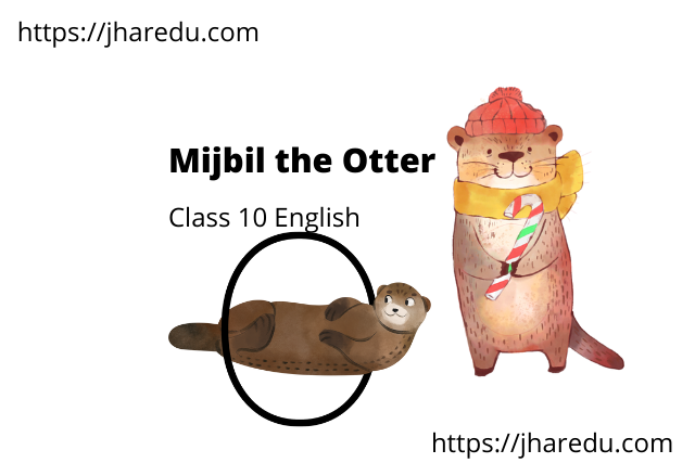 Class 10 English Chapter 8: Mijbil the Otter Questions Answers - Jharkhand  Education